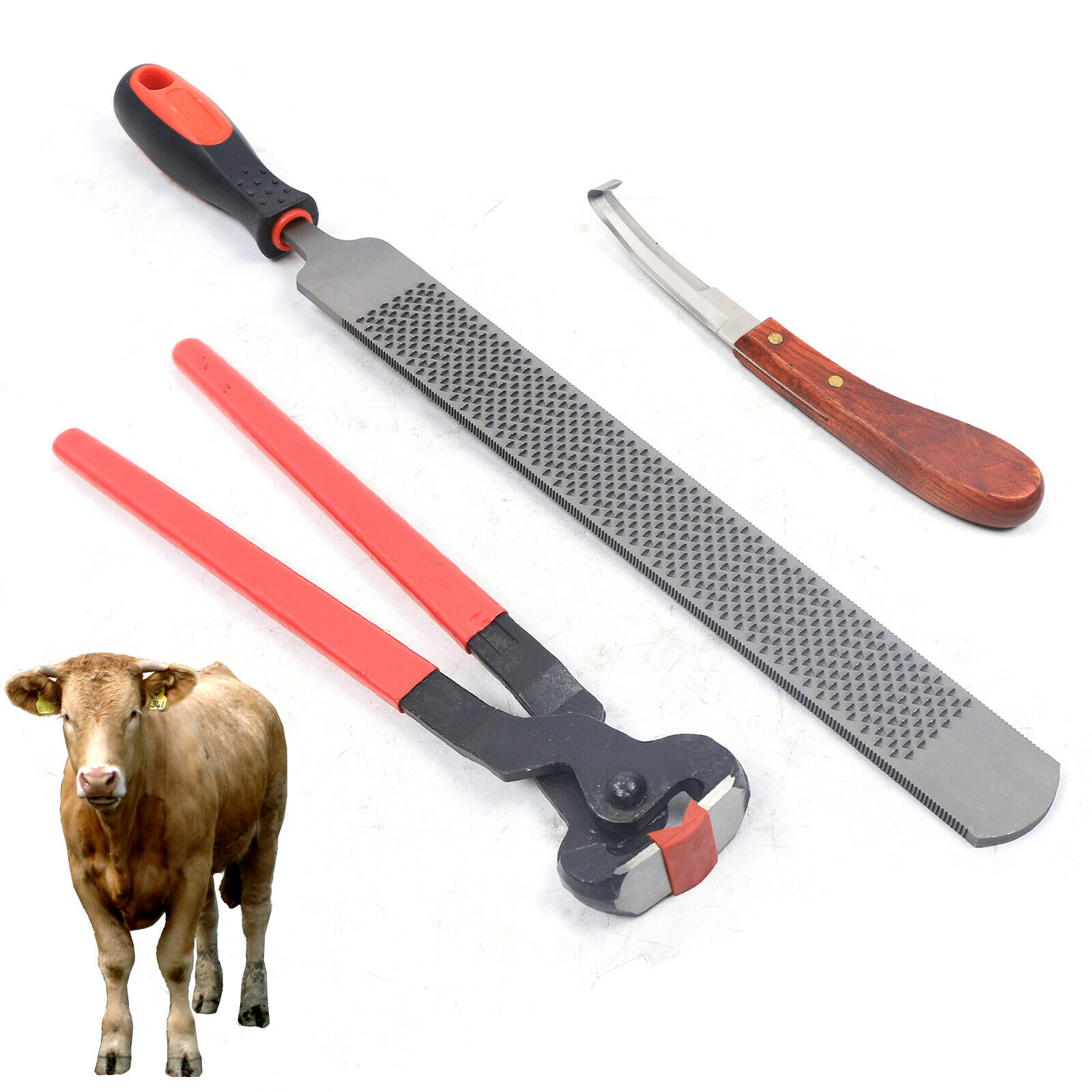 Horse Hoof Shear Farrier Metal Steel Trimming Nippers Handle Knife Tools Usa
